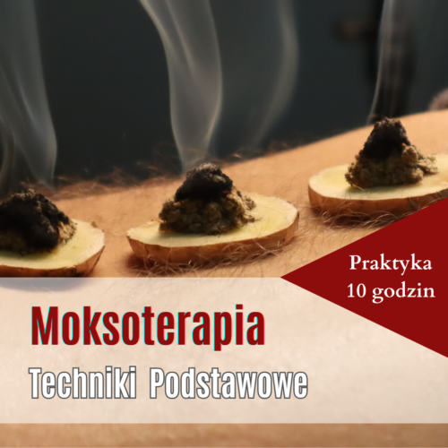 Produkty (25) Moksoterapia w praktyce