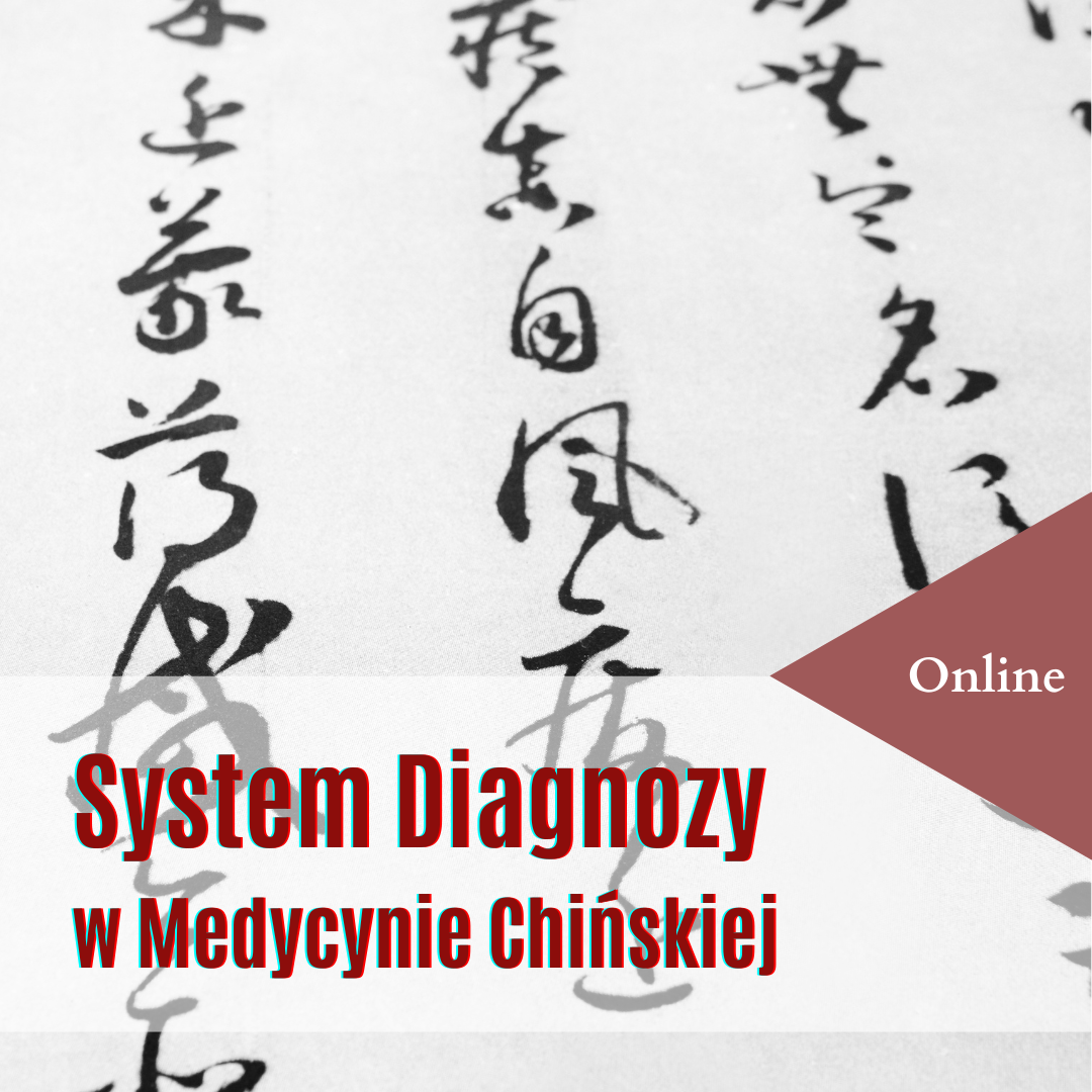 System Diagnozowania z Medycynie Chińskiej
