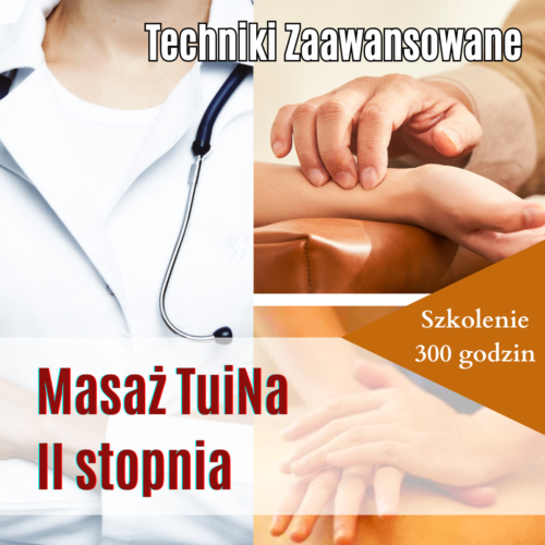 Produkty TUINA Masaż TuiNa - Szkolenie II stopnia
