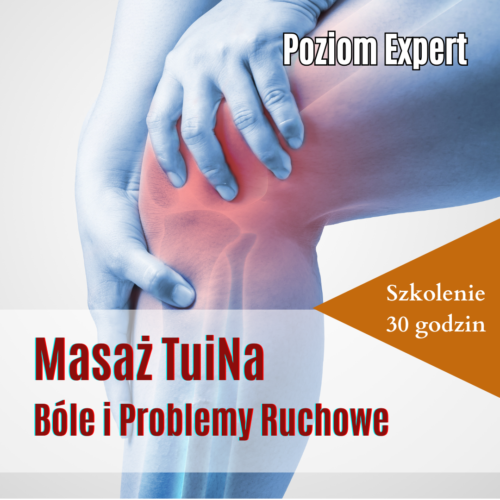 Produkty TUINA (6) TuiNa w Reumatologii - Szkolenie Expert
