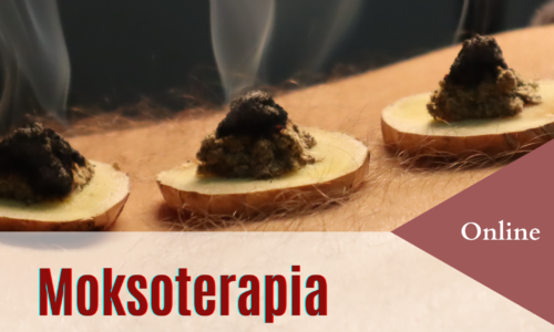 miniaturka kursu