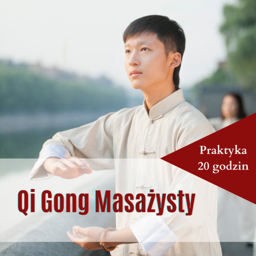 TN1 qigong